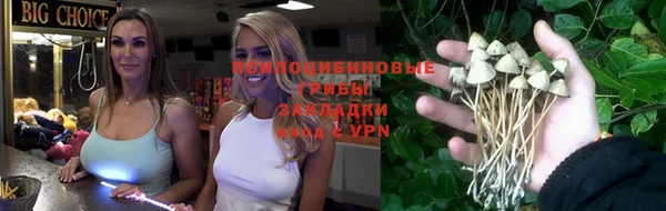 гашик Арсеньев