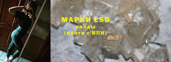 гашик Арсеньев