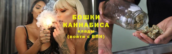 ALPHA PVP Няндома