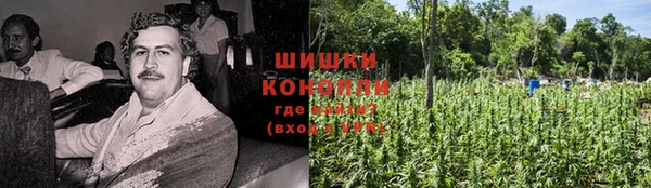 гашик Арсеньев