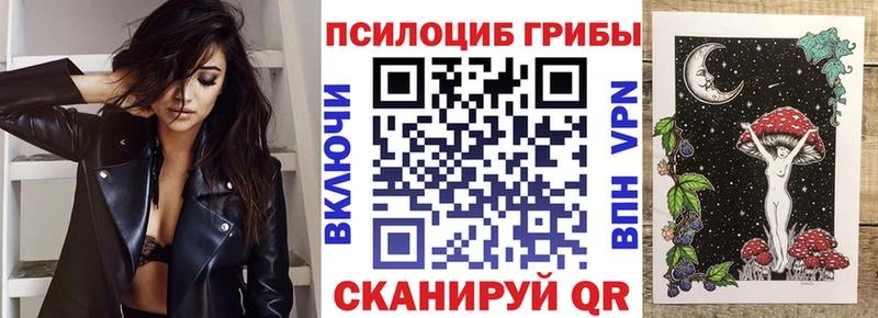 как найти наркотики Колпашево Галлюциногенные грибы Psilocybine cubensis